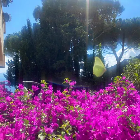 Argentario… Tutto Da Scoprire Apartamento *